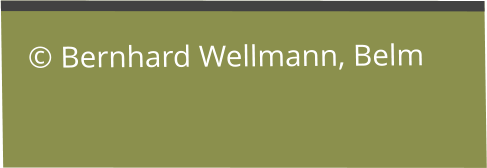  Bernhard Wellmann, Belm